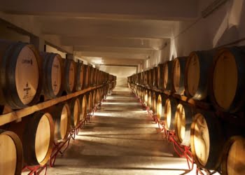 Carmim: Elegância e qualidade dos vinhos do Alentejo profundo