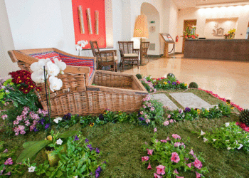 Soltrópico lança voos para a Festa da Flor na Madeira