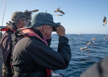 O que fazer no Algarve em outubro?