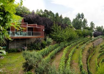 Vila Marim Country Houses reforça enoturismo do Grupo Terras & Terroir