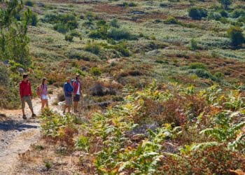 Turismo do Algarve promove destino em outubro