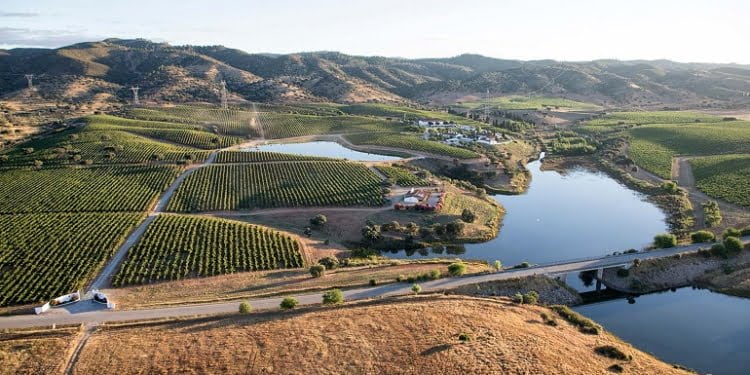 Wine & Travel Week: O mundo do enoturismo em Portugal em fevereiro de 2023