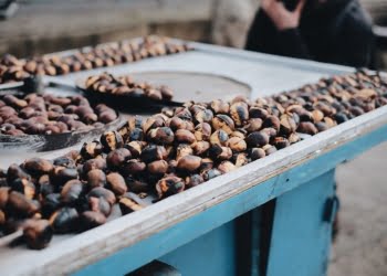 Lisboa convida a aproveitar o São Martinho