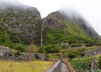 (Preview Reportagem): Descobrir a natureza numa «ilha de água»