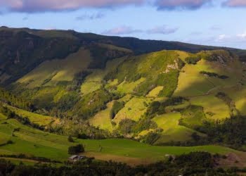 Flores by Ambitur: Descobrir a natureza numa “ilha de água”
