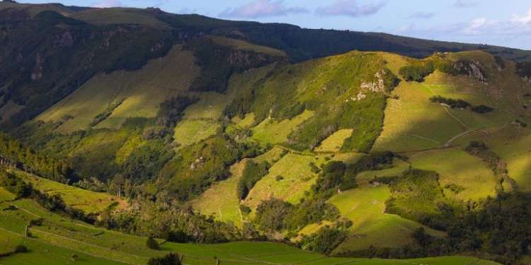 Flores by Ambitur: Descobrir a natureza numa “ilha de água”