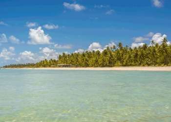 Grupo de operadores lança voo especial Maceió – Brasil para a Páscoa