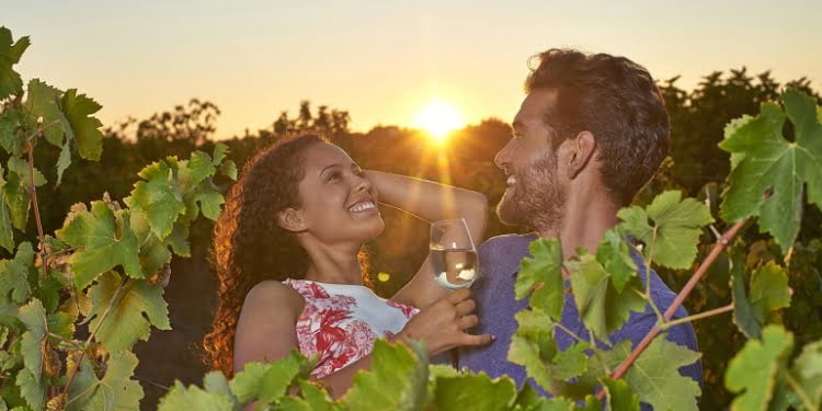 Enoturismo algarvio visita o Porto