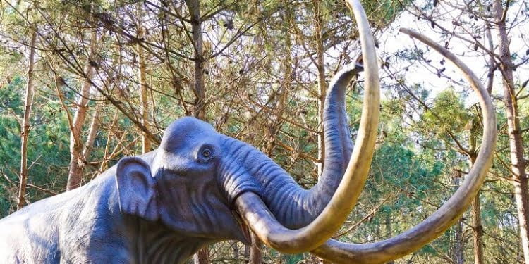 Dino Parque Lourinhã inaugura novo percurso “Idade do Gelo”