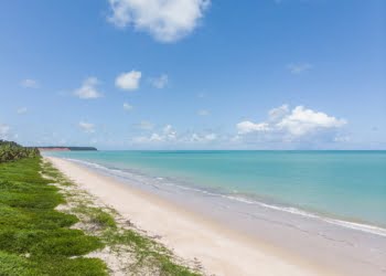 solférias, exoticoonline, sonhando, alto astral