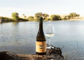 Mainova: o valor alentejano representado no vinho e no azeite