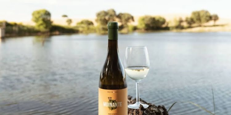 Mainova: o valor alentejano representado no vinho e no azeite