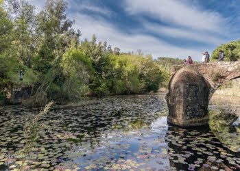 Rota Vicentina lança programa da 3.ª edição da Semana ID