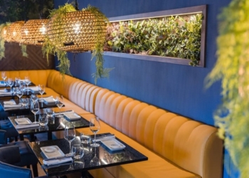 2022 foi o melhor ano de sempre da Wonder Wall