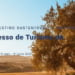 Sustentabilidade do destino em debate no II Congresso de Turismo do Alentejo