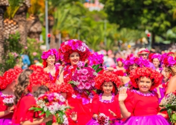 Visite e viva a Madeira por inteiro!