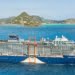 Celebrity Cruises revela detalhes do novo navio Celebrity Ascent