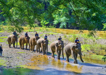 Turismo da Tailândia lança primeiro passe turístico multi-atrações para visitar Chiang Mai