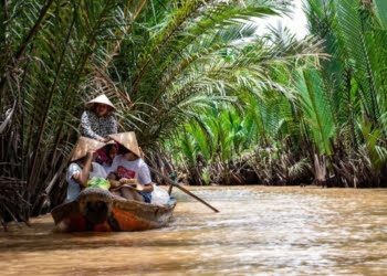Icárion e Turkish Airlines realizam uma “viagem com o paladar” até ao Vietname