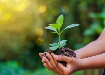 Restel lança certificação de sustentabilidade para hotéis