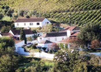 Vindimas: Seis destinos de enoturismo a não perder