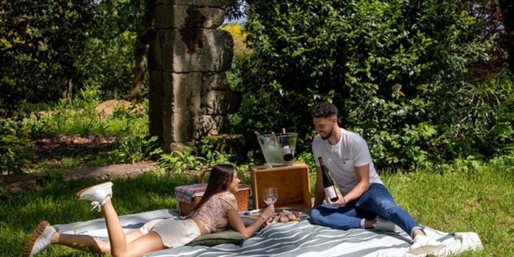 Enoturismo da Rota dos Vinhos Verdes regressa a 2 de setembro 