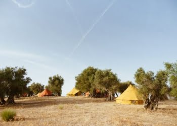 Glamping no meio do campo e degustação de vinhos e azeite, a proposta da Mainova e da Glamping Revolution