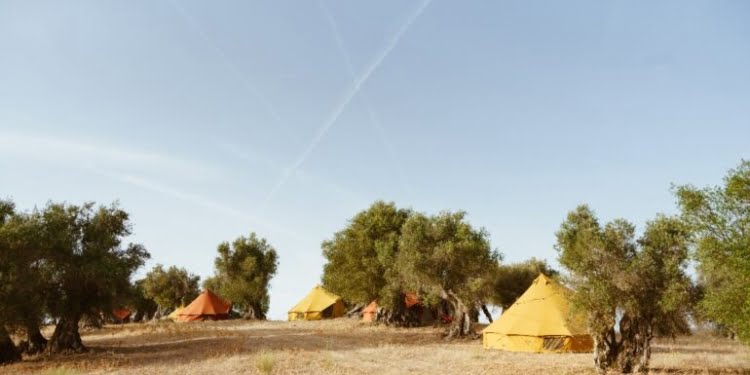 Glamping no meio do campo e degustação de vinhos e azeite, a proposta da Mainova e da Glamping Revolution