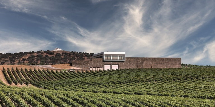 Herdade da Ribafreixo propõe aos visitantes participar nas vindimas