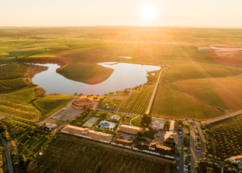 Viagens de balão, canoagem, provas de vinhos e azeites: as propostas do Vila Galé Alentejo Vineyards & Olive