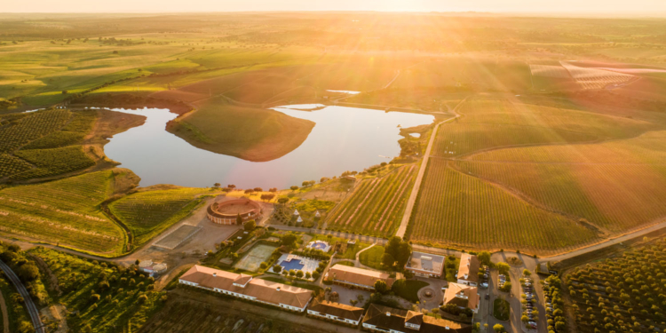 Viagens de balão, canoagem, provas de vinhos e azeites: as propostas do Vila Galé Alentejo Vineyards & Olive