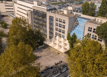 Portucalense lança dois short masters para o setor vinícola e gastronómico