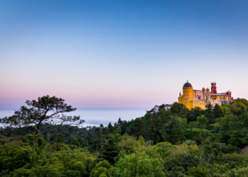 Turismo 360º: Parques de Sintra está a fazer “estudo da quantificação das emissões de carbono”