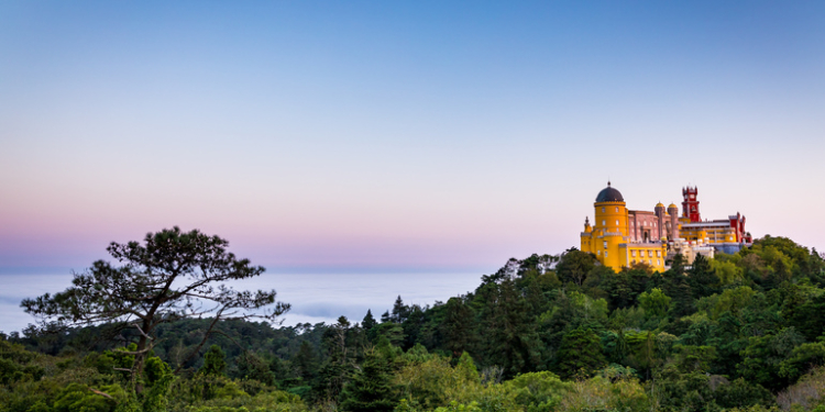 Turismo 360º: Parques de Sintra está a fazer “estudo da quantificação das emissões de carbono”