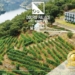 Douro Palace Hotel Resort & Spa distinguido como Portugal’s Leading Green Hotel 2023