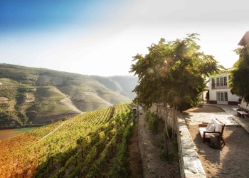 Quinta Nova de Nossa Senhora do Carmo abre portas a nova adega que promete revolucionar o Douro