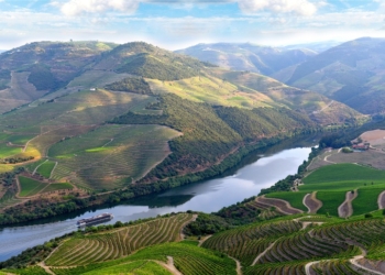 Via Navegável do Douro continua trajeto de retoma dos valores pré-pandemia e Porto de Leixões tem melhor ano de sempre na atividade de cruzeiros