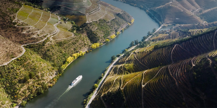 Nova marca do Turismo do Porto e Norte é inspirada nas origens identitárias