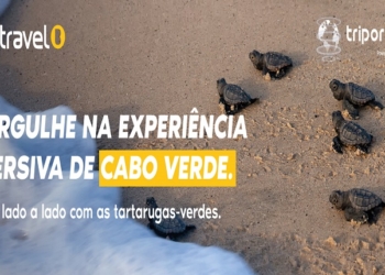 Bestravel lança projeto piloto de experiência de gamificação na BTL