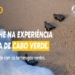 Bestravel lança projeto piloto de experiência de gamificação na BTL