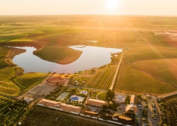 Vila Galé Clube de Campo considerado ‘melhor enoturismo com estadia’ em 2023
