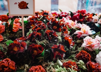 Celorico de Basto – “Capital das Camélias”