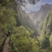 Madeira sustainable for all – Por um verde ainda mais verde