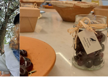 Apanha da azeitona à moda alentejana no Octant Évora 