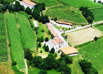 Vale do Lima vai ser “Região Europeia da Gastronomia e Vinho” em 2025