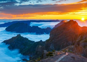 Solférias anuncia programação especial no novo voo da TAP entre Faro e Funchal