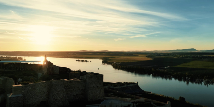 Cidade do Vinho 2025: Cinco municípios alentejanos celebram a cultura vínica