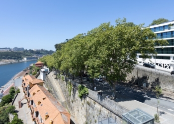 Altis Porto Hotel: O bem-estar em harmonia com o conforto