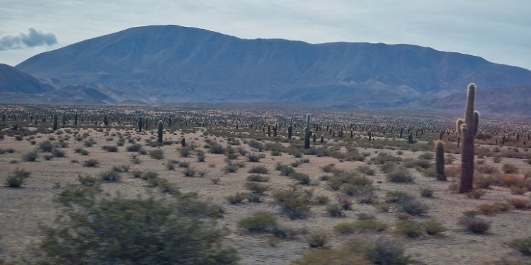 Argentina com Lusanova & Air Europa (V): Cachi, o regresso ao século XVIII