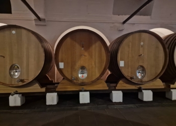 Alentejo: Fundação Eugénio de Almeida, Quando a história emerge dos aromas do vinho alentejano